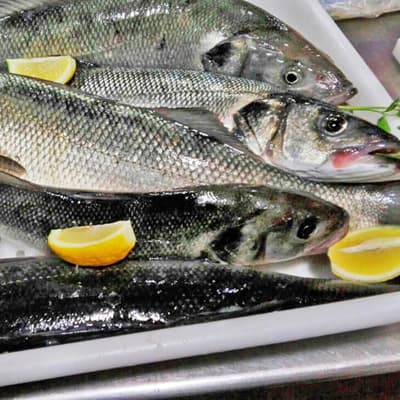 Platos del Restaurante Maruxía en Fisterra